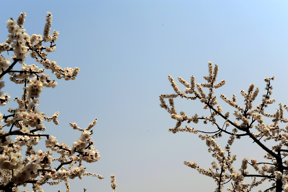 DSC_0068.JPG