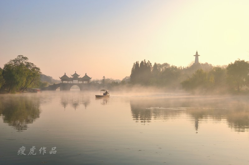 DSC_1989--Pan-xc1.jpg