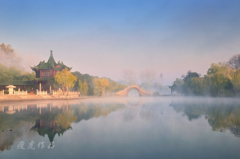 DSC_1949-Pan-xc1.jpg