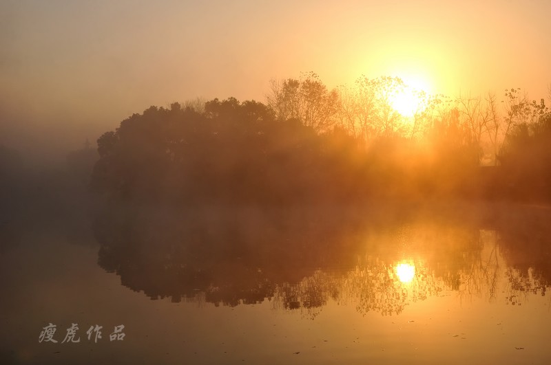 DSC_1923-Pan-xc1.jpg