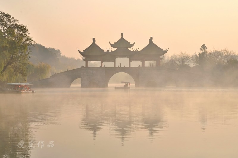 DSC_1982--Pan-xc1.jpg
