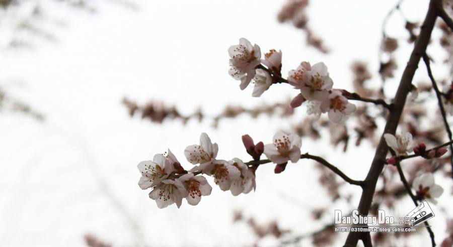 2013-03-14-28.jpg