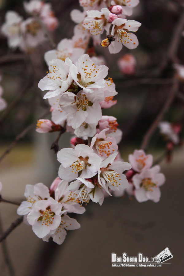 2013-03-14-30.jpg