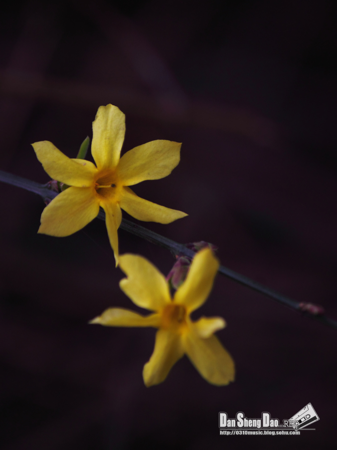 2013-03-14-1.jpg