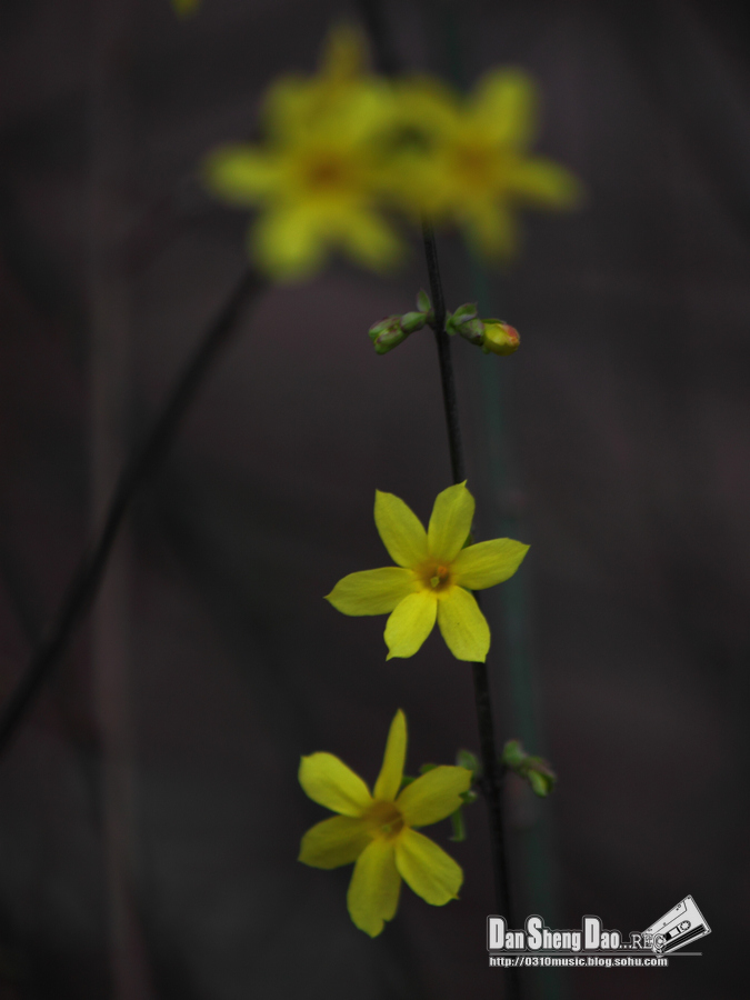2013-03-14-3.jpg
