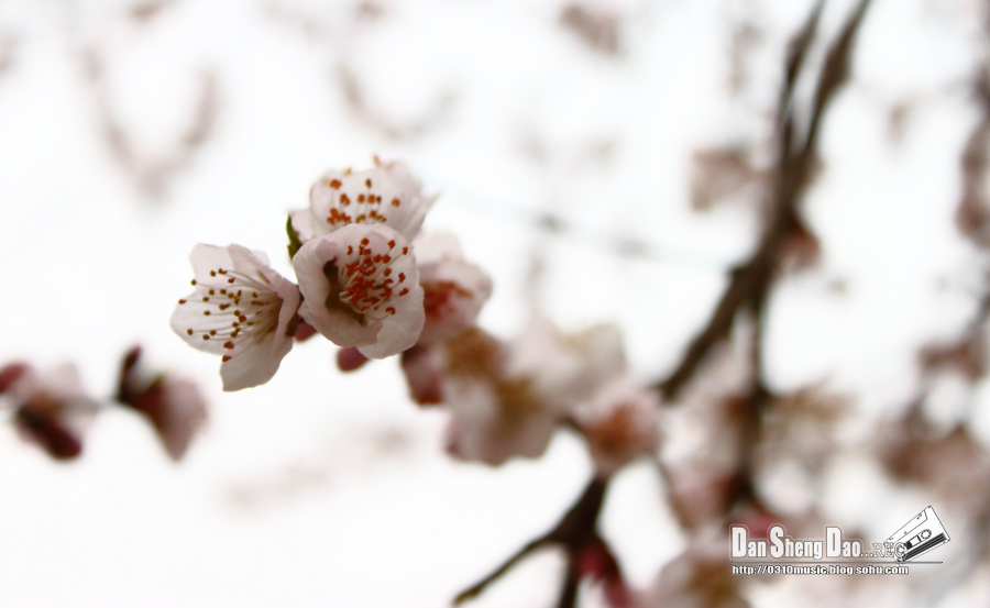 2013-03-14-17.jpg