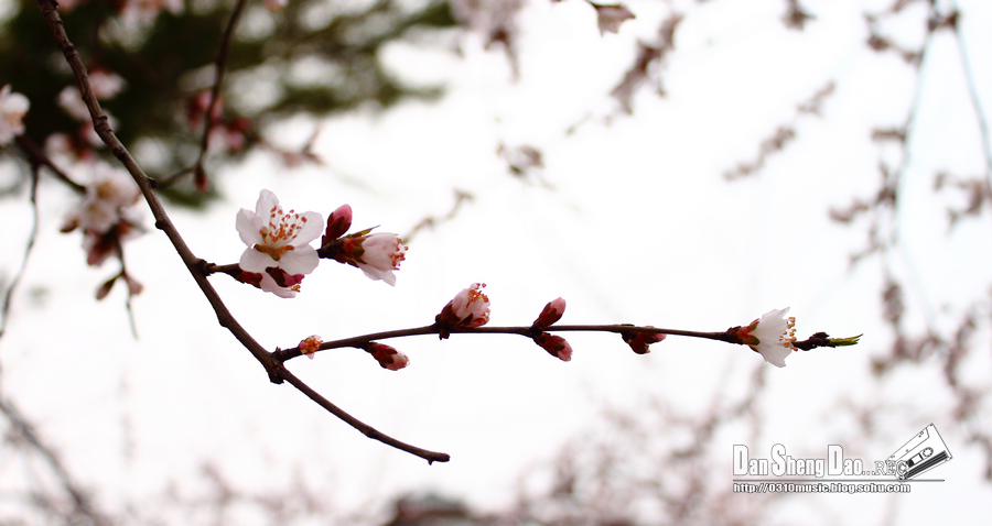 2013-03-14-18.jpg