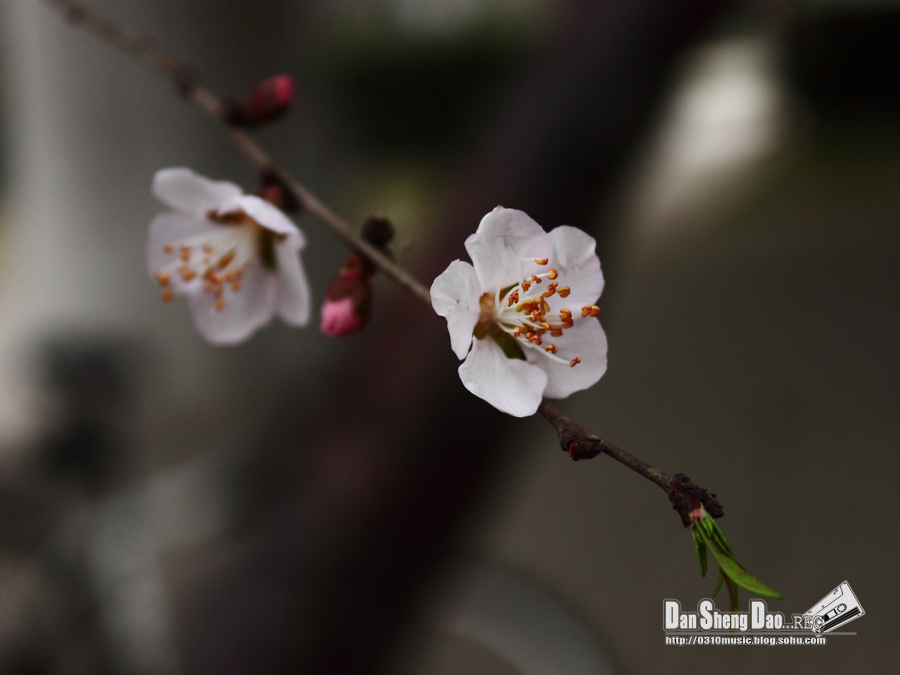2013-03-14-24.jpg