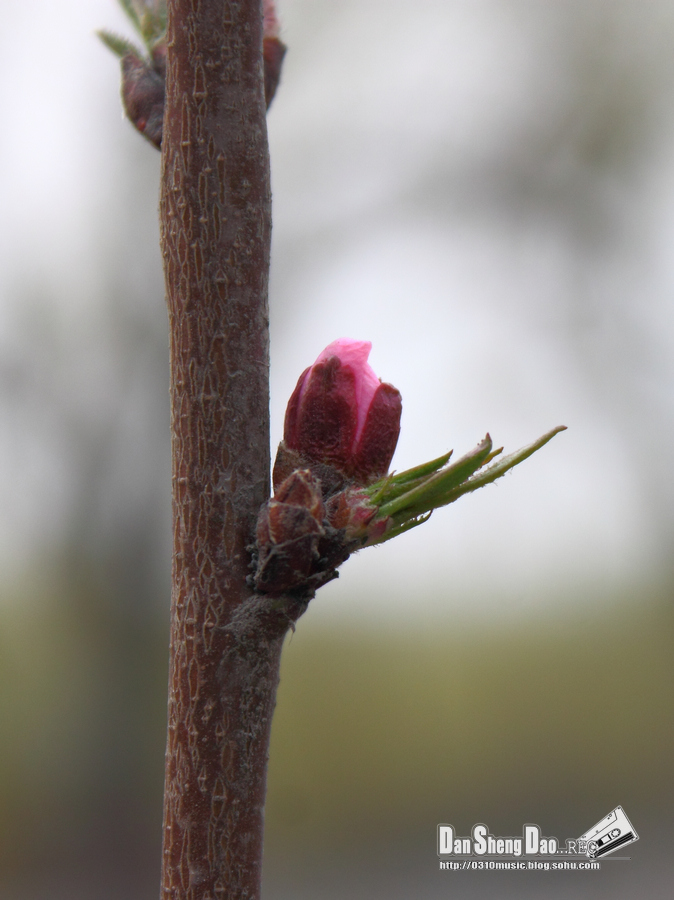 2013-03-14-26.jpg