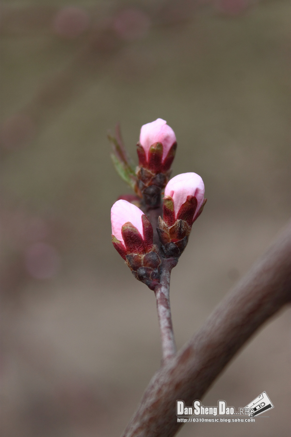 2013-03-14-27.jpg