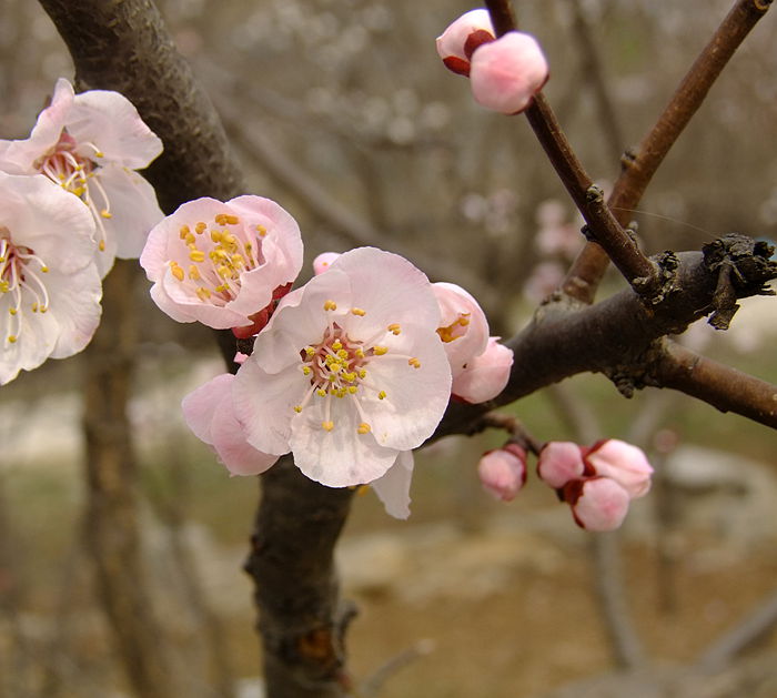 DSCF9423_.jpg