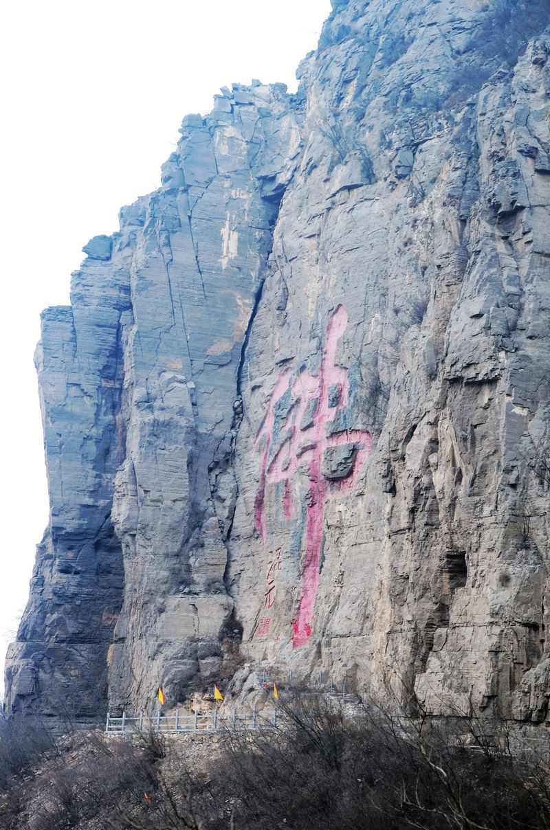 DSC_2938.jpg--09.jpg