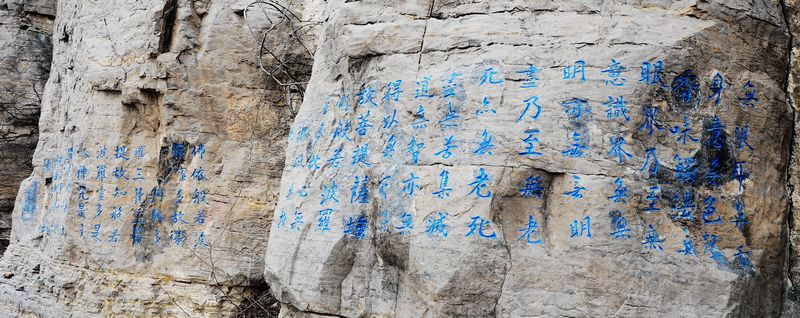 DSC_2934.jpg--14.jpg