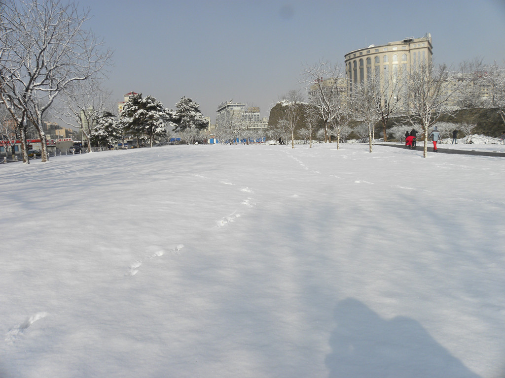 DSCN0003_.jpg
