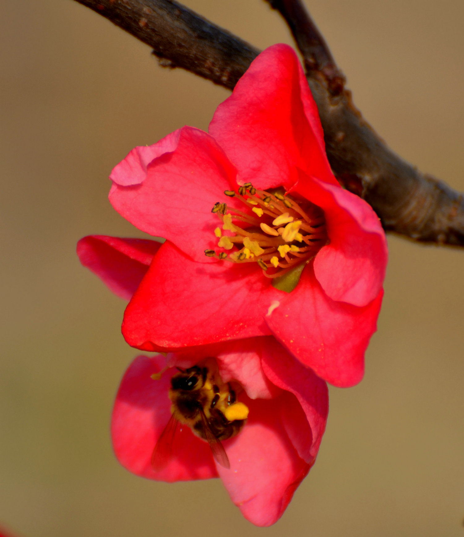 DSC_7627_.jpg