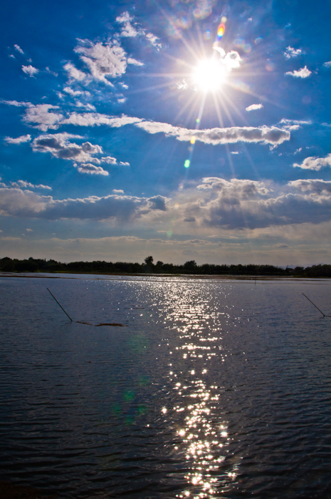 DSC_0315.jpg