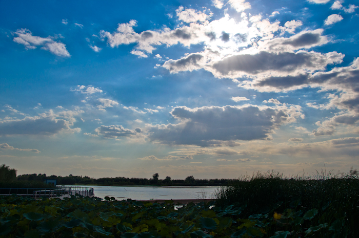 DSC_0325.jpg