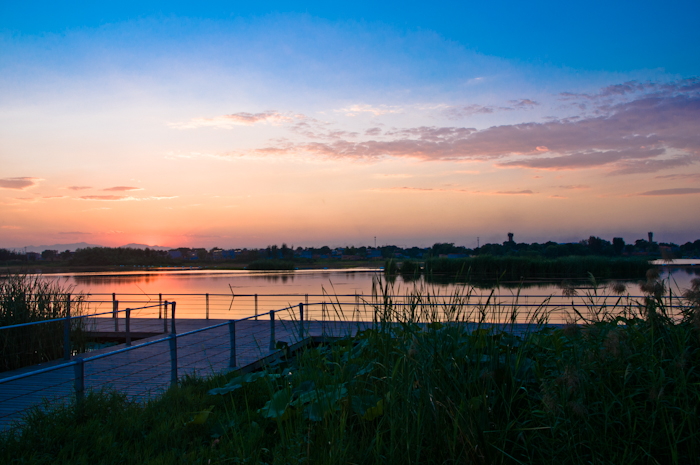 DSC_0553.jpg