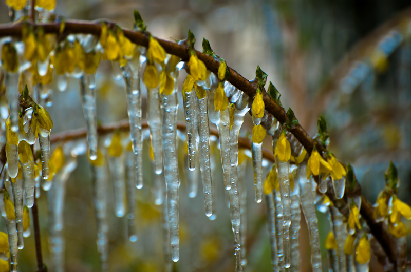 DSC_0122.jpg
