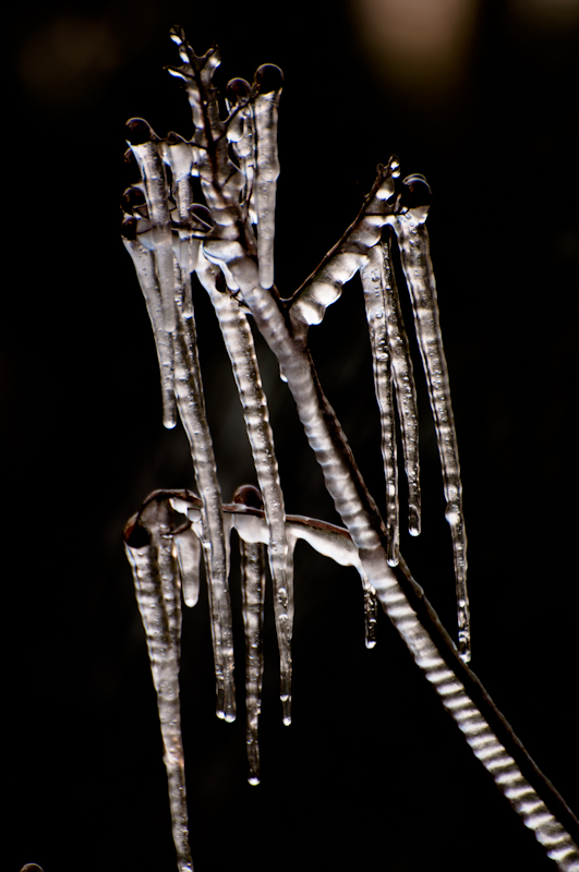 DSC_0123.jpg