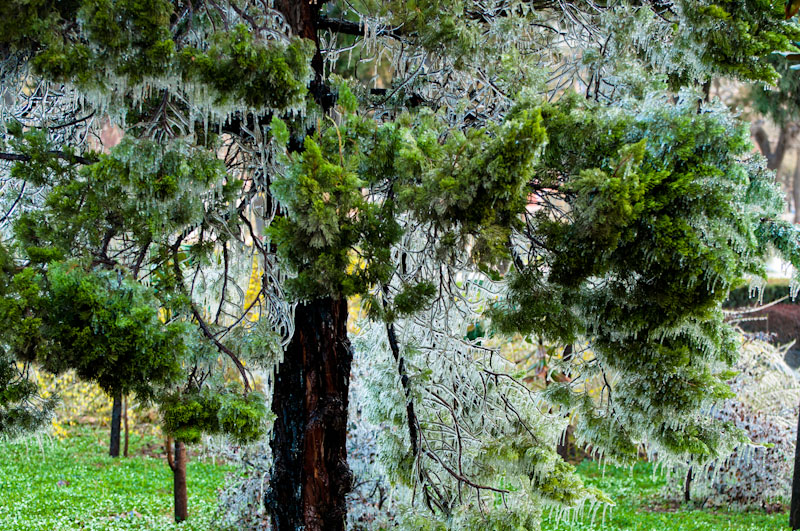 DSC_0146.jpg