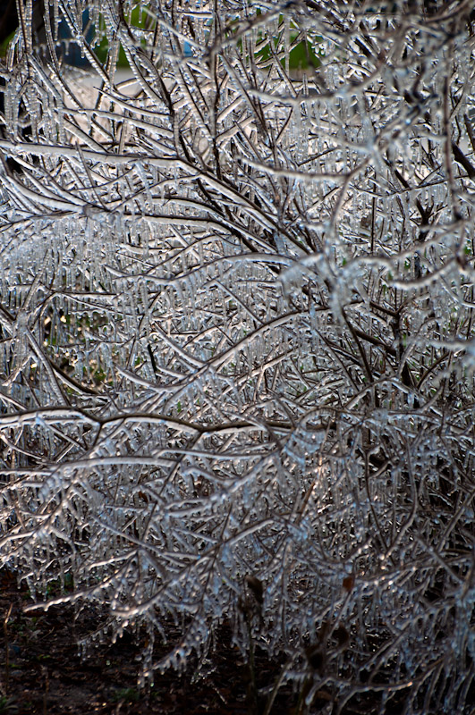 DSC_0157.jpg