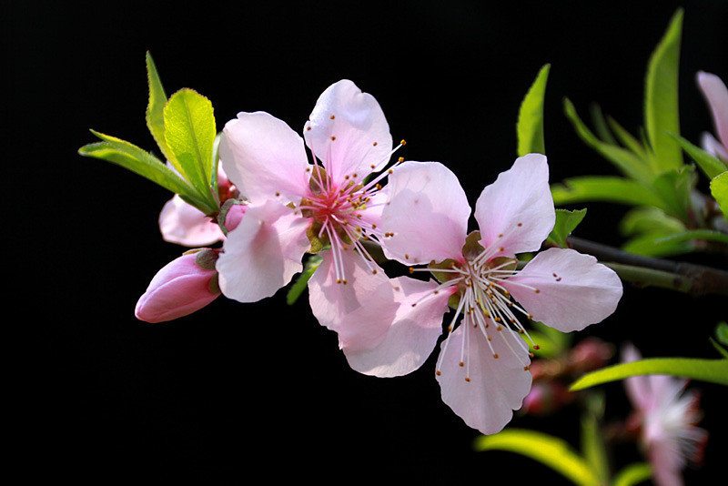 һƬ 059_.jpg