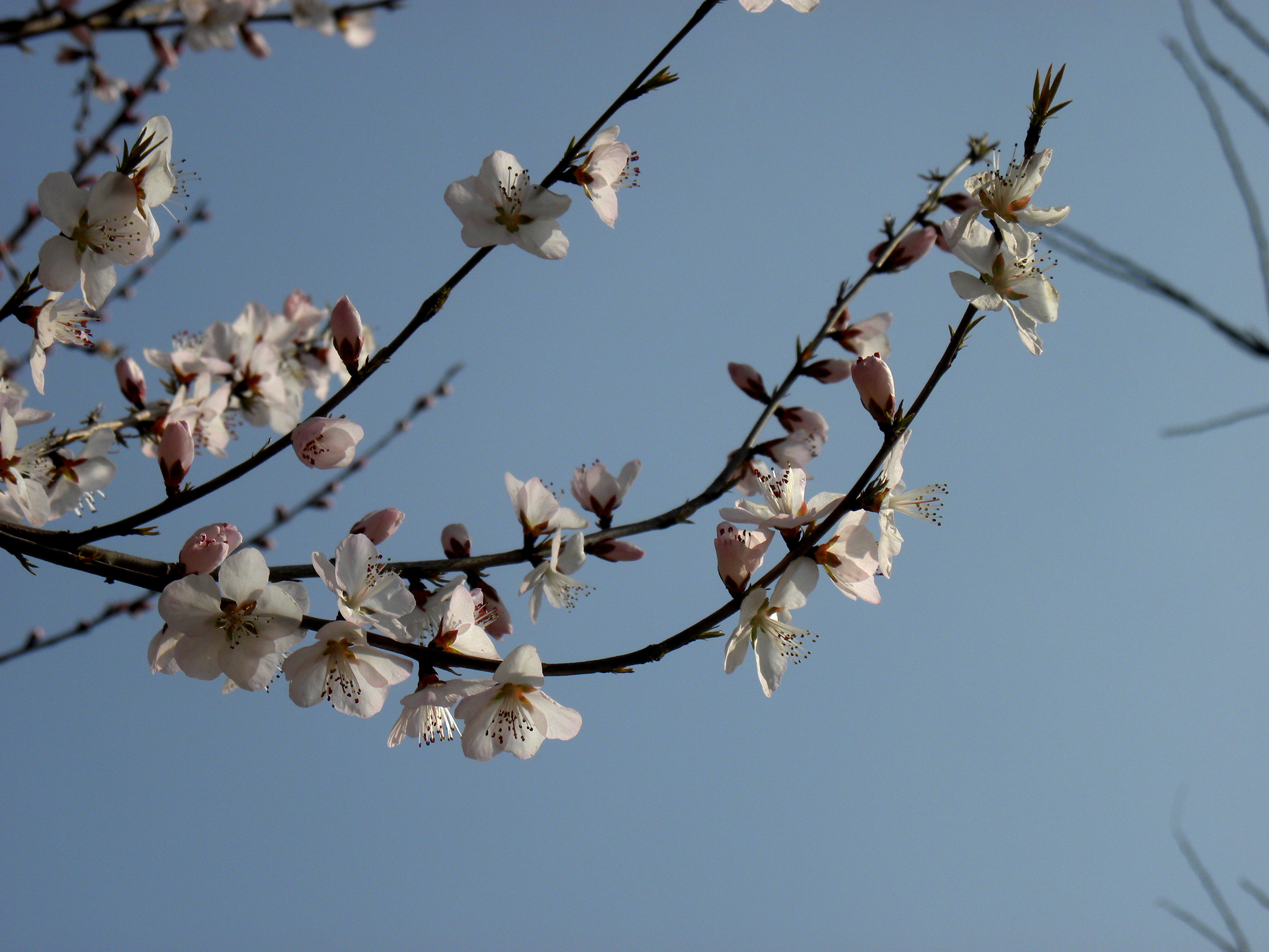 DSCN9851_.jpg