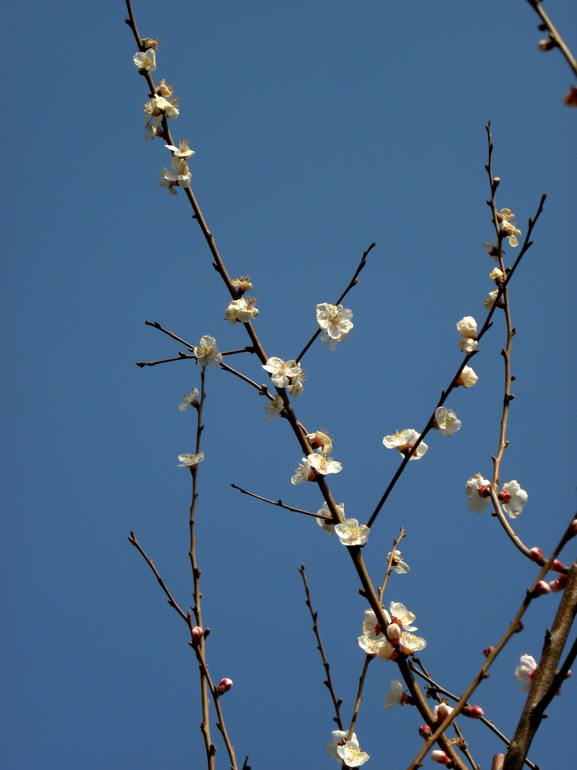 DSCN9853_ת_.jpg