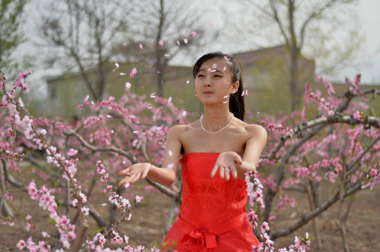 DSC_8211_.jpg