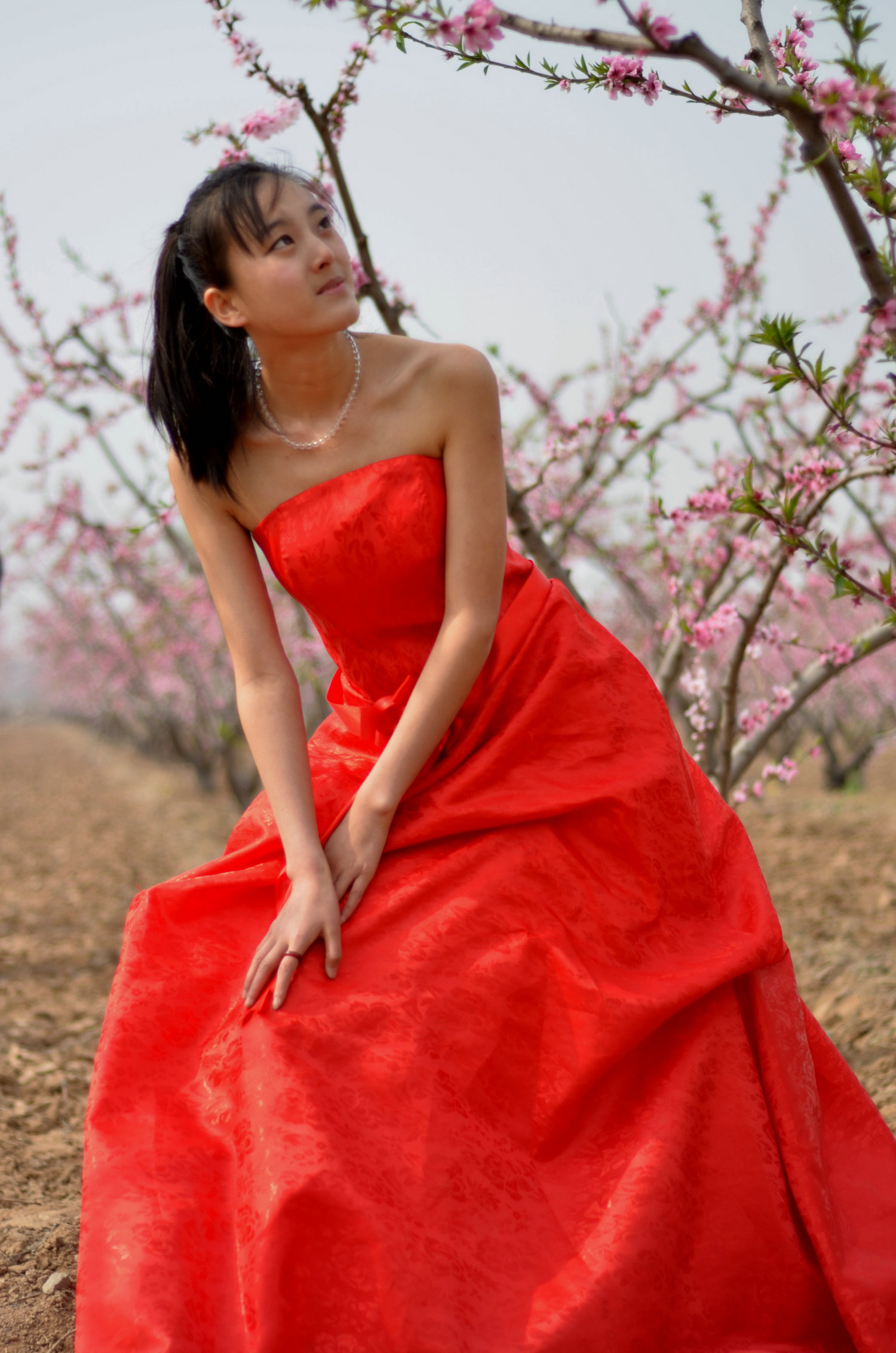 DSC_8398_.jpg