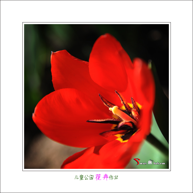 userid299465time20120403051935.jpg