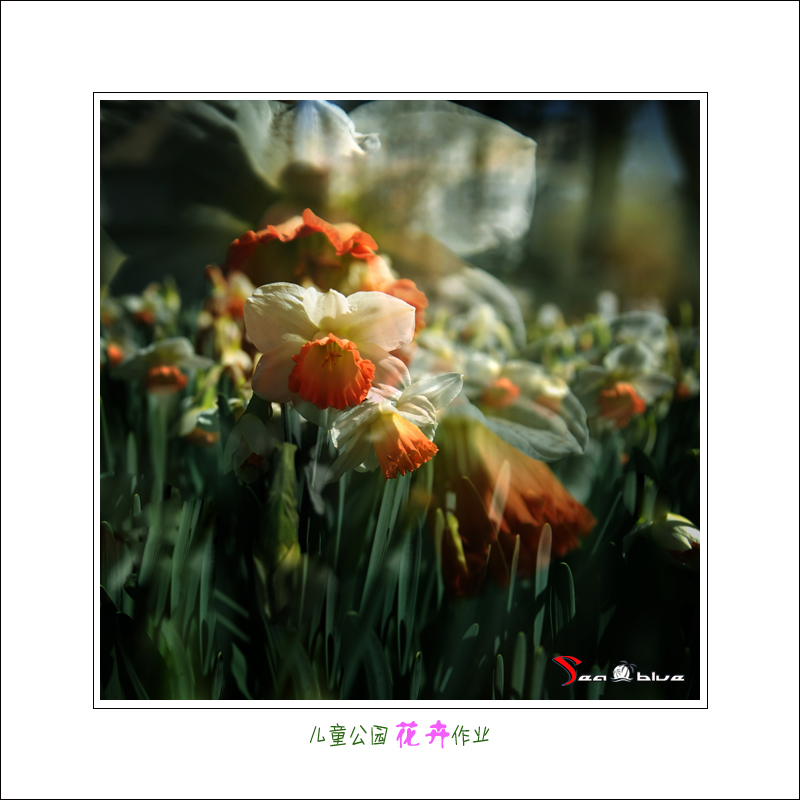 userid299465time20120403051957.jpg