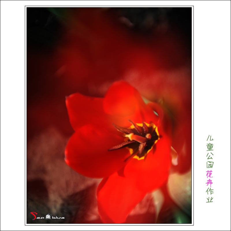 userid299465time20120403052033.jpg