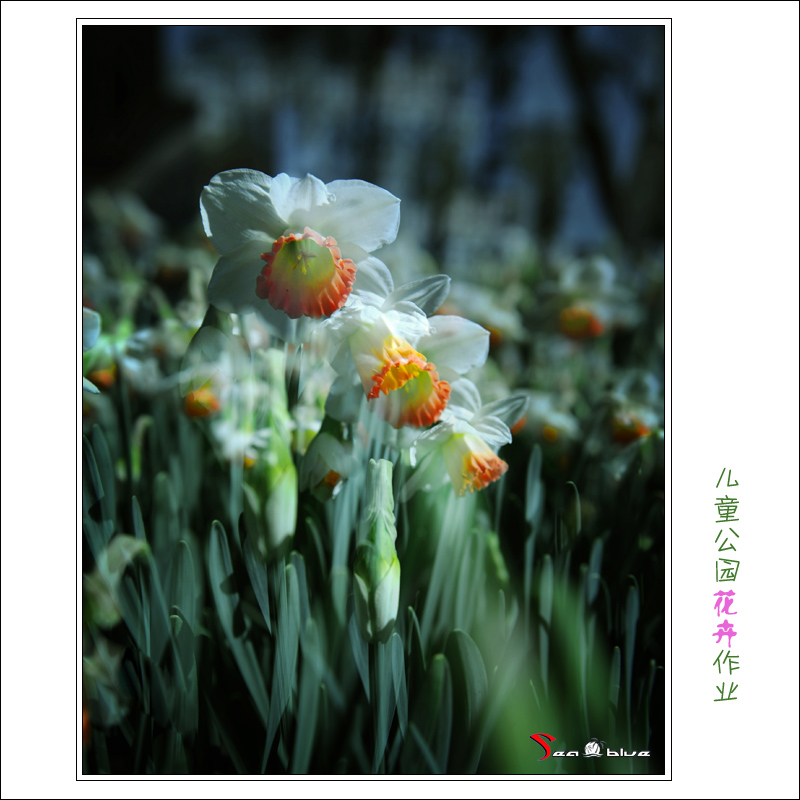 userid299465time20120403052054.jpg