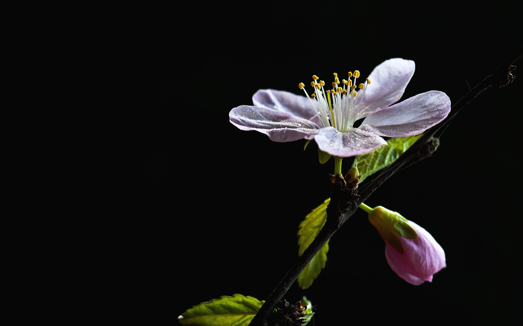 DSC_4713.jpg