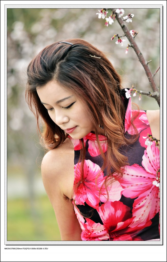 _DSC2207(һ31024.jpg