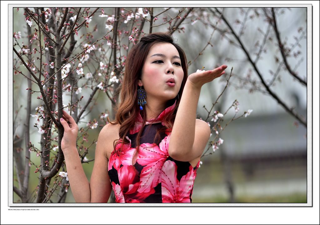 _DSC2239(һ51024.jpg