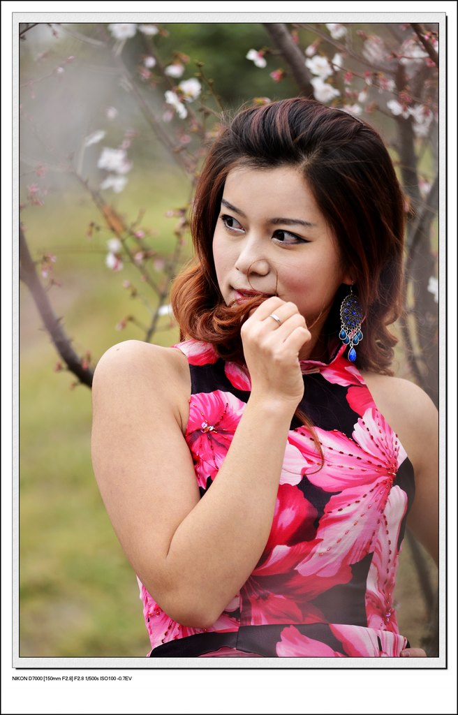 _DSC2291(һ71024.jpg