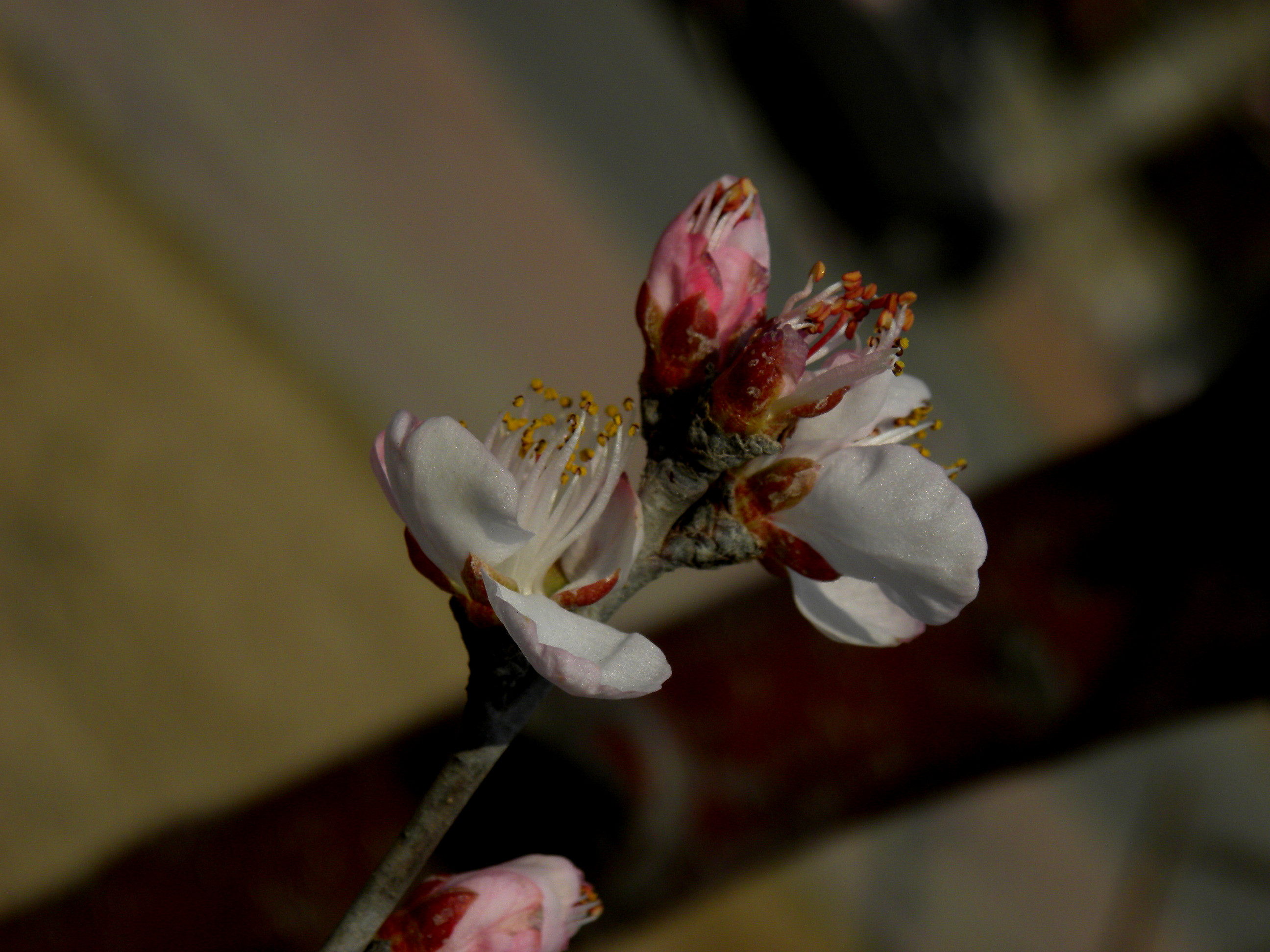 DSCN9938_.jpg