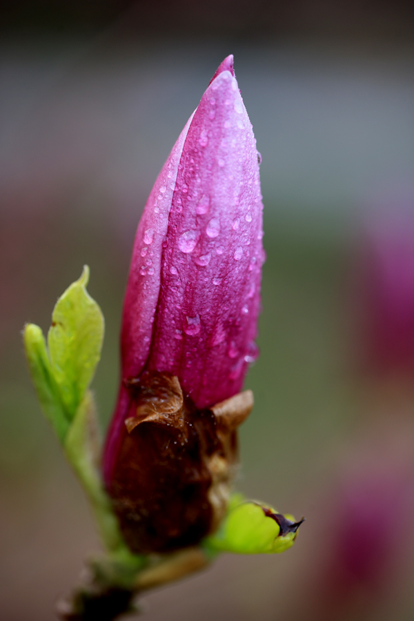 H46R7196.jpg
