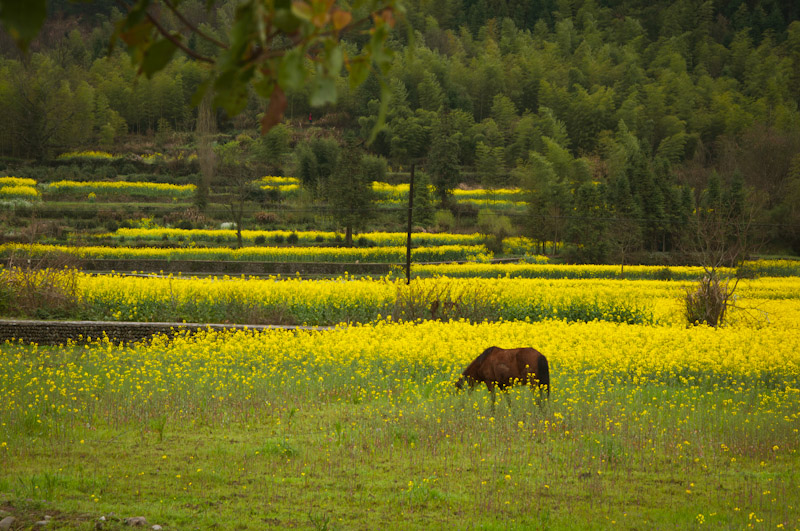 DSC_0615.jpg