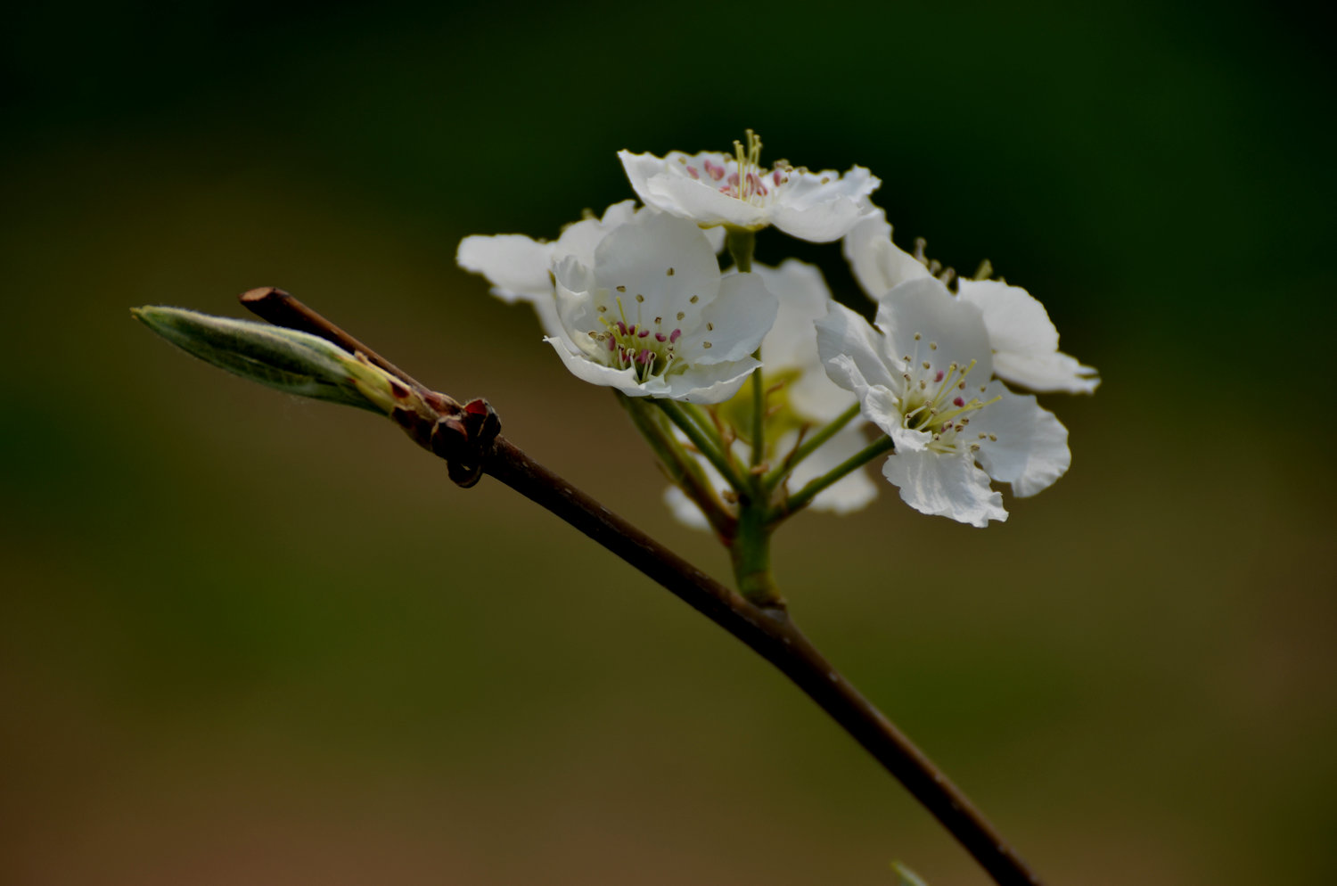DSC_9981_.JPG