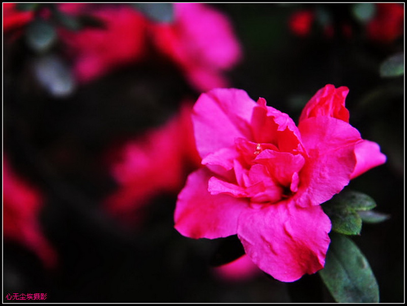 nEO_IMG_DSC_0420.jpg