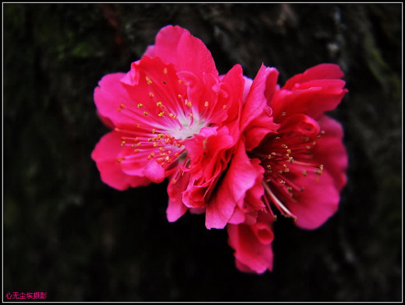 nEO_IMG_DSC_0431.jpg