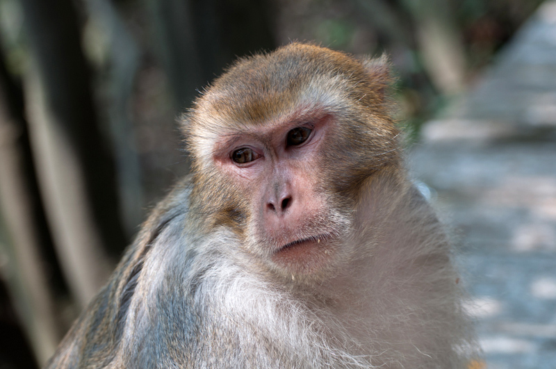 DSC_0253.jpg