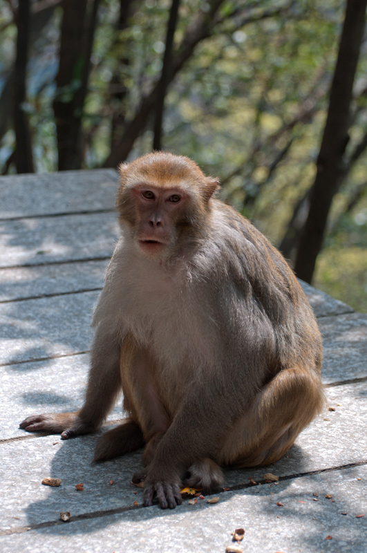 DSC_0259.jpg