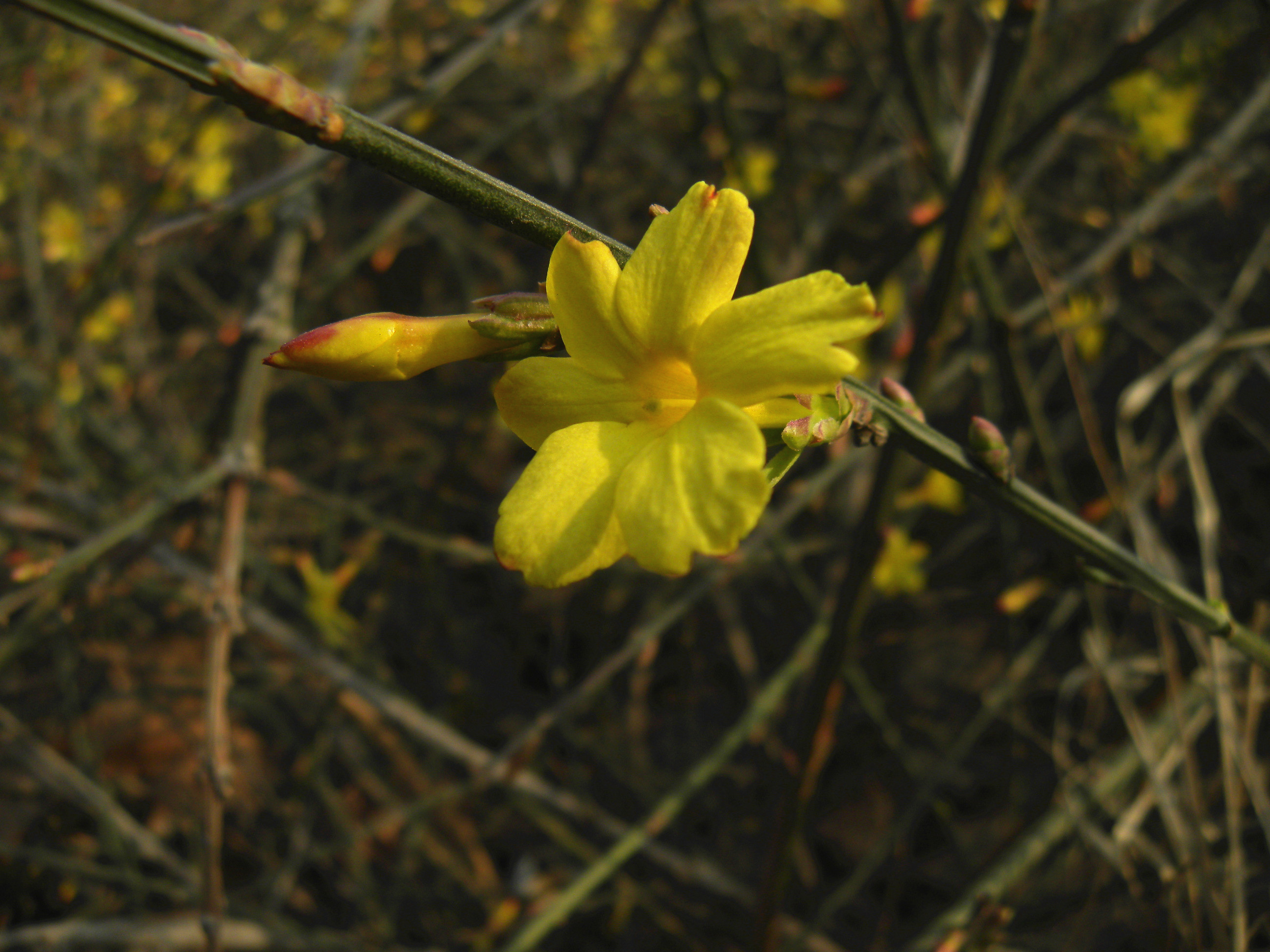 DSCN0058_.jpg