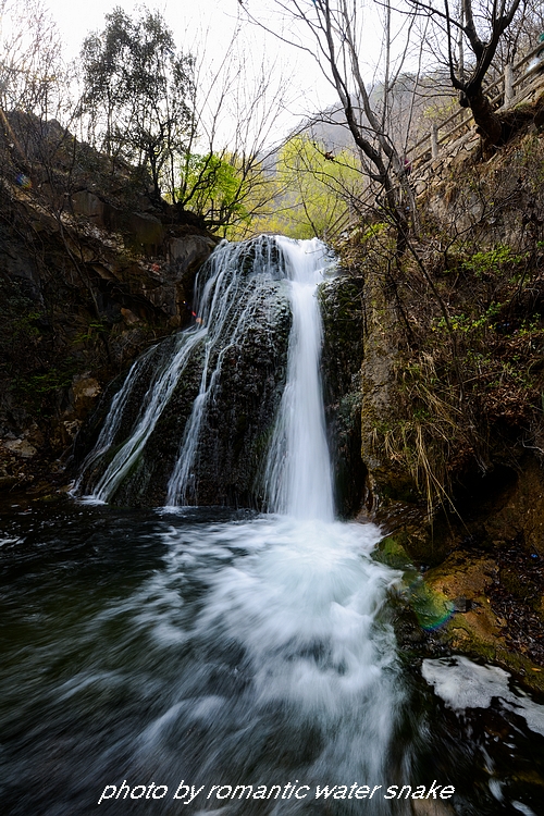 DSC_2521.jpg