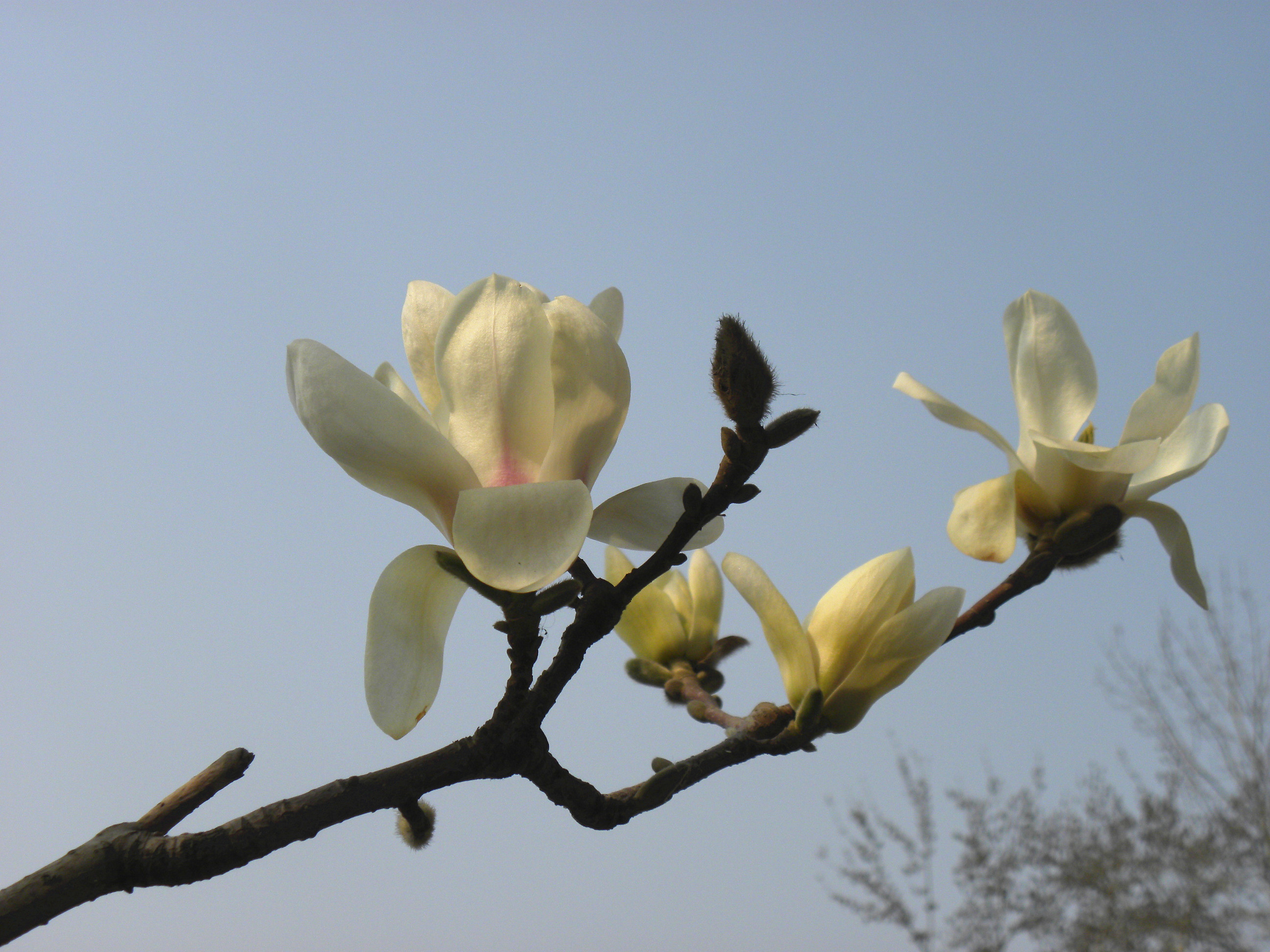DSCN0066_.jpg